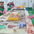 자연산바다 이미지