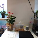 DM 골프 스튜디오 이미지