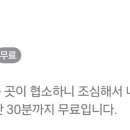 마구로선수 이미지