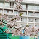 스플라스리솜 이미지