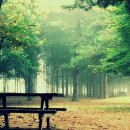 광릉 가마골 이미지