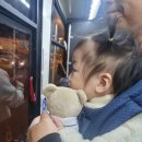 신풍카 | [제주 아기랑 여행] 강아지와 13개월 아기 데리고 떠난 1일차 제주여행