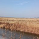 석모삼거리 이미지