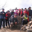 수원-1111 이미지