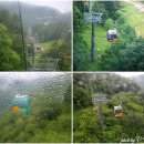 성주카프라자 | 평창 가볼만한곳 best 6 코스 발왕산 케이블카 까지~