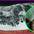 동국의료기 이미지