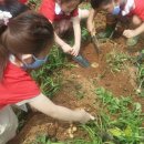 시립안정어린이집 이미지