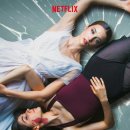 댄싱도그 이미지