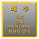 1급북부자동차정비 이미지