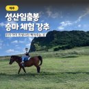 성산농장 | 아이와 제주 성산일출봉 승마 체험 인생샷 찍기 무료