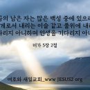 박해목장 이미지