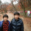근우