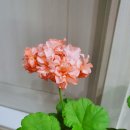 건명약국 이미지