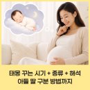 다복함 | 임신기간 태몽 꾸는 시기 + 종류 + 해석 총정리! 아들 딸 구분 방법까지