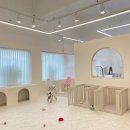 댕댕아띠 이미지