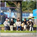 송림유치원 | 함께 떠나는 서천 가을 소풍 후기 🍁 [수원 / 영통 / 용인 / 이의동 애견유치원 털로덮인친구들 광교 본점]