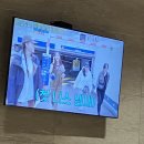 2주치 돌아온 백수 일상