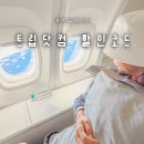 트립펫 | 9월 10월 트립닷컴 할인코드 쿠폰 적용법 + 하와이 대한항공 비즈니스 항공권 특가 예약 탑승 후기