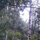 문학공원주차장 이미지