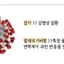 올바른온누리약국 이미지