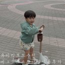 유아킥보드 추천 에그코코스쿠터 실사용후기