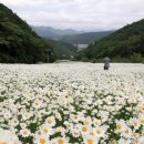 제 33차 6월 정기산행 강원도 정선 백운산 이미지