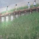 순천공업고등학교 이미지