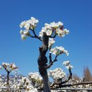 하동마을회관 이미지