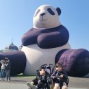 인제어린이집(정문) | [용인시] 에버랜드 / 푸바오가 가고 난 후 / 25개월 아기와 동물원