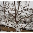 서귀어린이집 이미지