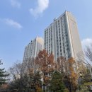 분당-161 이미지