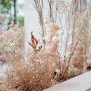 트리옹프닥터의원 이미지