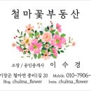 장보이소