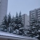 쌍사뽑기방 | 2월 (2,3,4) 3월(1) 밀린 일상일기