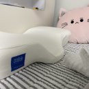 제이덴탈랩 | 잘 먹고 건강하기