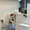 포그나개 이미지