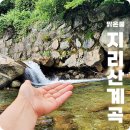 피아골황토펜션 | 하동여행코스 지리산 계곡 펜션 아름다운산골에서 놀아보기