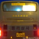 동천여행사 이미지