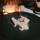 용인랜드 숲속캠핑장 이미지