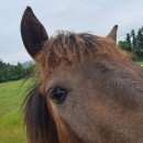 제이목장 이미지