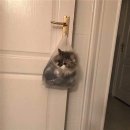 진성카센타 이미지