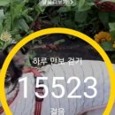 파리바게뜨굴포천역점 이미지