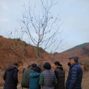 정경식농장 이미지