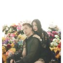 태양결혼정보