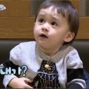 노란끼 웜톤 아멜리 보라쿠션 한달사용후기, 내돈내산