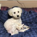 당진시 당진시장남길 이미지