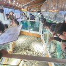 해남공룡박물관 이미지