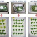 동일유통 - 중구 | 동일유통
