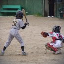 제주남초등학교 이미지