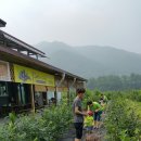 은동아이어린이집 이미지